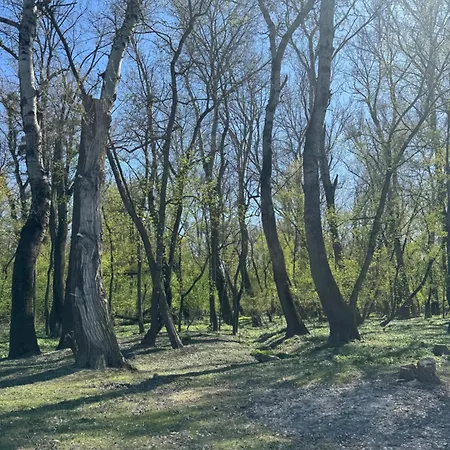 Sunset Hausbot 船上ホテル ブラチスラヴァ