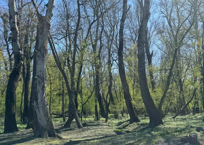 Sunset Hausbot ספינת מלון ברטיסלאבה